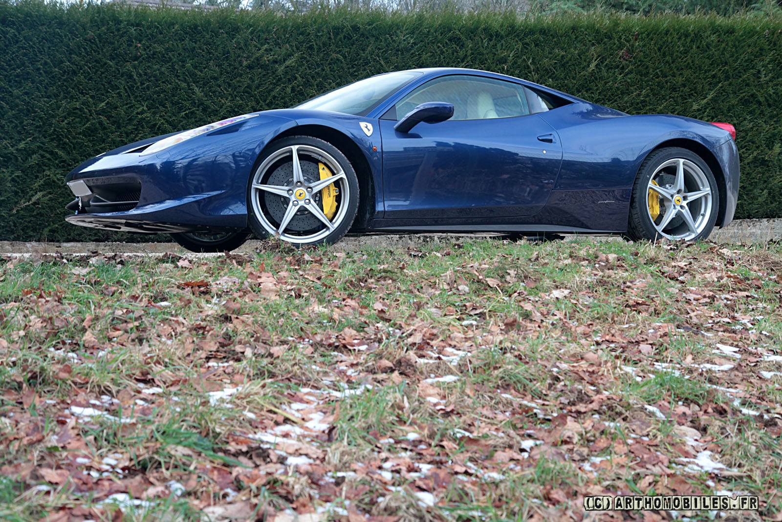 Shoot458tdf%20100.JPG